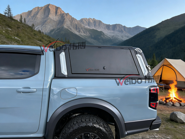 Q235A / Aluminum Light Texture Black Canopy for RANGER T9 2023-2025